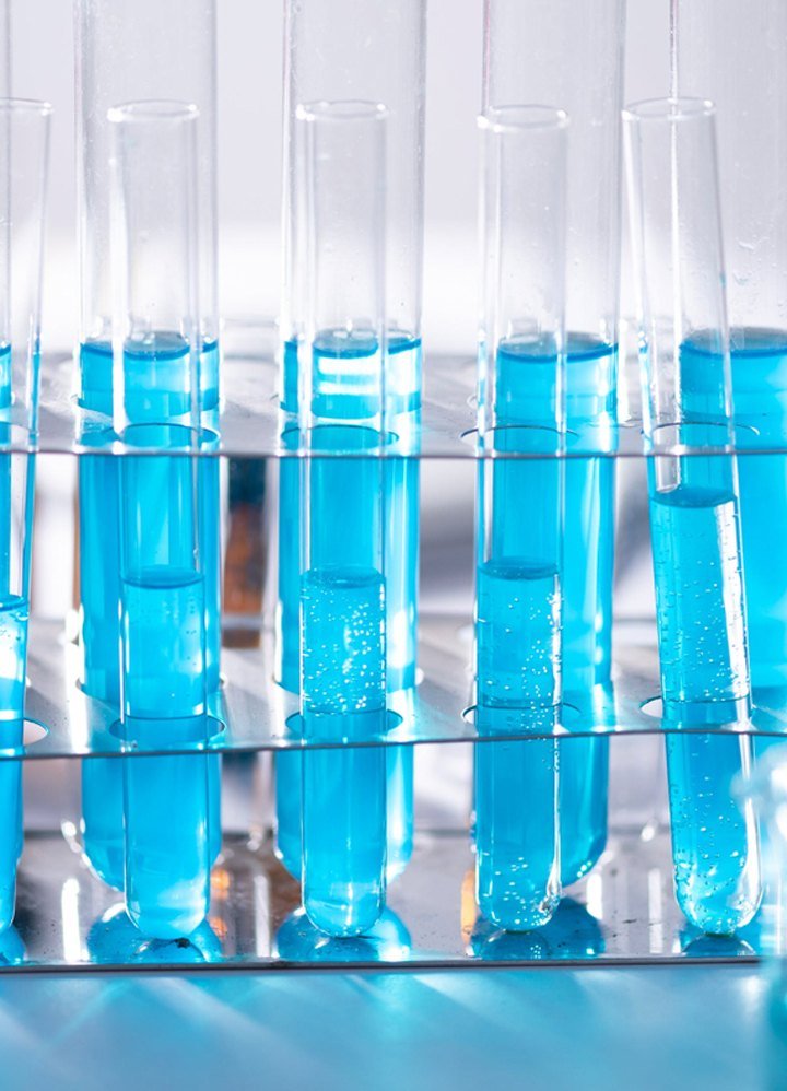 Etiam vulputate convallis